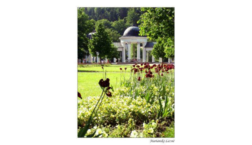 OLYMPIA hotel, s.r.o.**** Mariánské Lázně